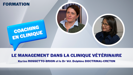COACHING EN CLINIQUE - Le management dans la clinique vétérinaire