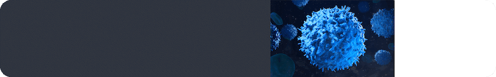 Bannière - LIVE IDEXX.gif