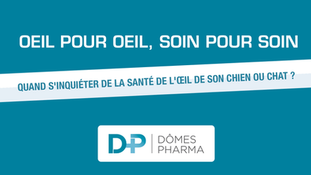 DÔMES PHARMA - Quand s'inquiéter de la santé de l'œil de son chien ou chat ?