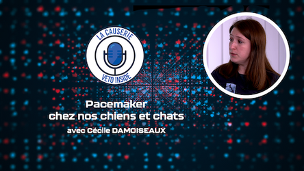 LA CAUSERIE - Pacemaker chez nos chiens et chats