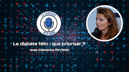 LA CAUSERIE - Le diabète félin : que prioriser ?