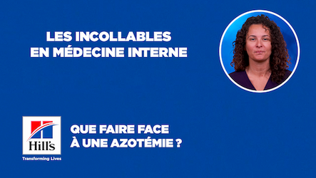 HILL'S - Que faire face à une azotémie ?