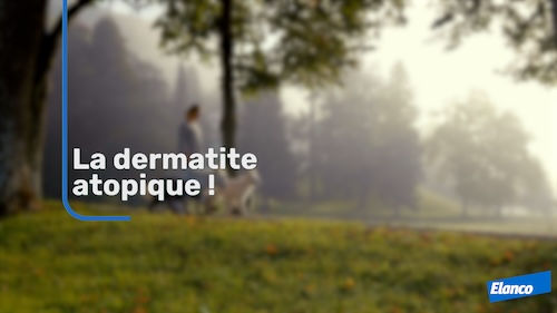 ELANCO - Nouveautés thérapeutiques et DAC : une table ronde de spécialistes pour éclairer vos choix
