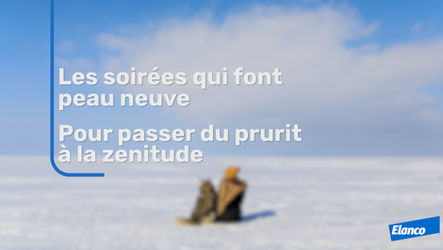 ELANCO - Les soirées qui font peau neuve - Pour passer du prurit à la zenitude.