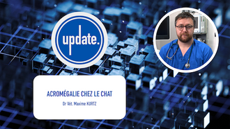 UPDATE - Bon à savoir sur l'acromégalie chez le chat
