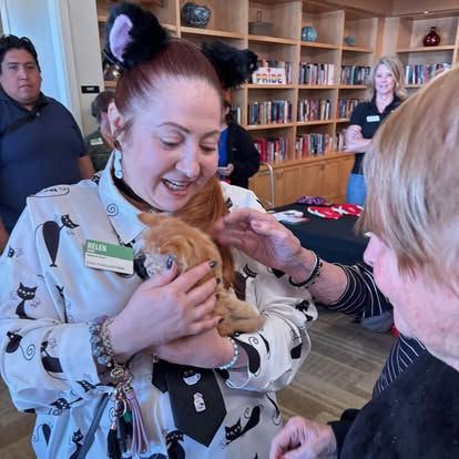 Animal Shelter fundraising