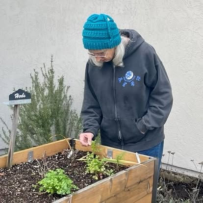 Community garden project