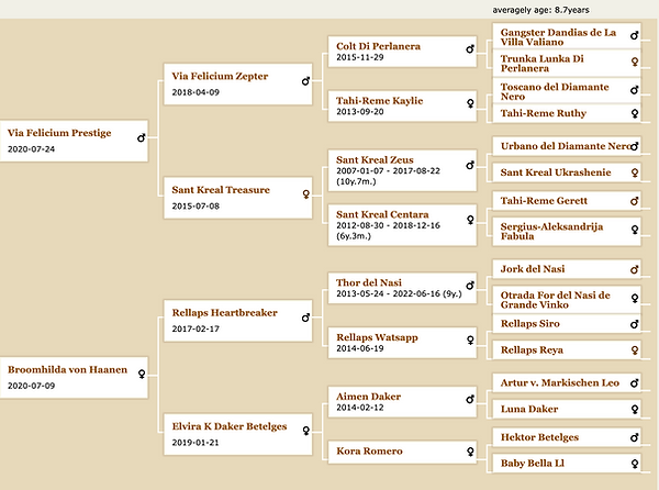 Screen Shot 2023-03-07 at 12.49.03 PM.png