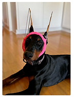 Screen Shot 2024-12-06 at 4.01.32 PM.png