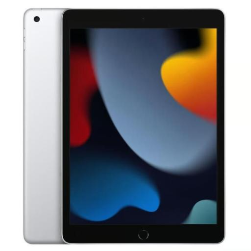 Apple iPad 9th (2021) 256GB wifi Silver - CPO - CON BOX E CAVO