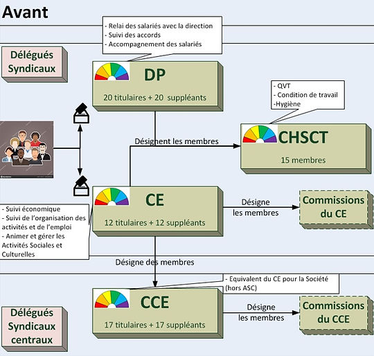 avant CSE.jpg