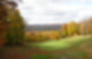 golfing