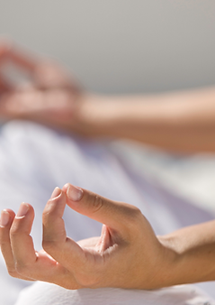 TSCS Website (4).png