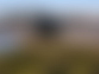 Drones para recuperar el bosque chaqueño: ya fueron plantados más de 100.000 árboles nativos