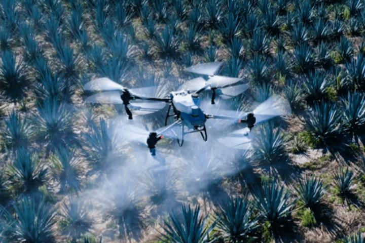 Drones aplicando sobre agave
