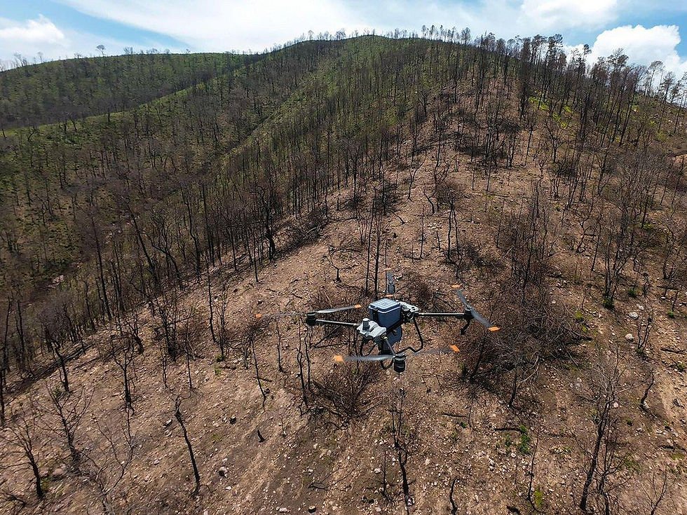 México utiliza drones para para restaurar sus bosques