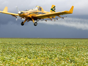 Brasil restringe, en todo el país, la pulverización aérea de tres insecticidas