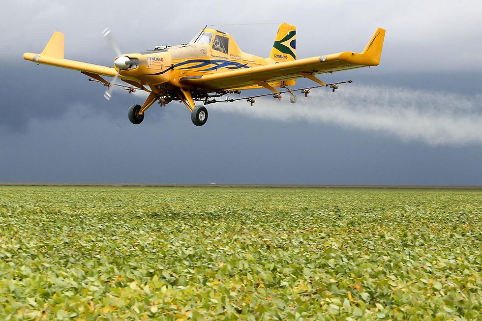 Brasil restringe, en todo el país, la pulverización aérea de tres insecticidas