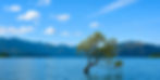 20250625_0837_Lake Wanaka Scene_remix_01jyjgrw91eptt6swsm7qbfg2e_edited.jpg