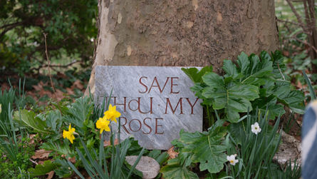 Fragments... retraite 'Sanctuaire & Surrender' 2026