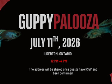 Get Ready for GUPPYPALOOZA 2026!