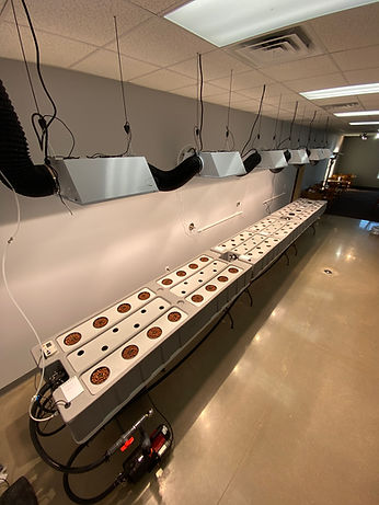 Sunny Street Cafe setup.jpg