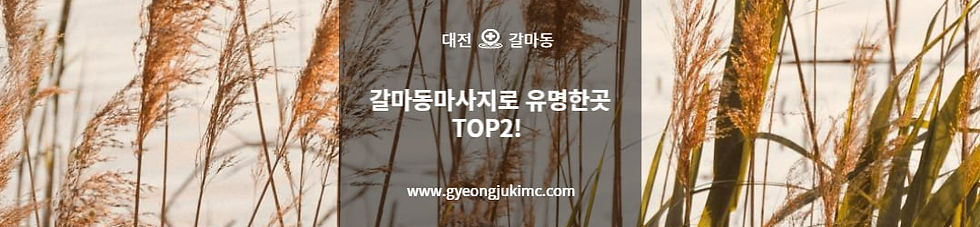 대전 갈마동 마사지샵 모음