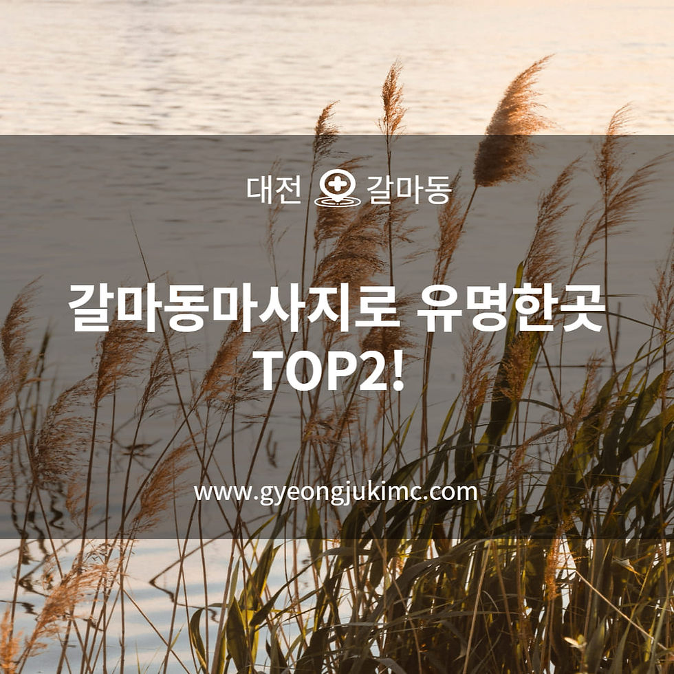 대전 서구 갈마동마사지