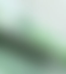 Sicredi no Top 5 do BC