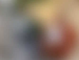 Congratulations Svenja on passing your driving test First Time with only 1 minor driving fault.