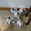 縮圖：Vintage set of 12 aluminium light lamp shades industrial look