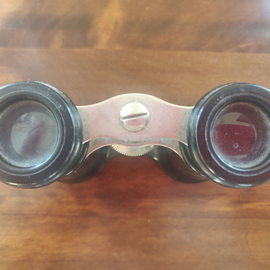 ESL vintage opera glasses