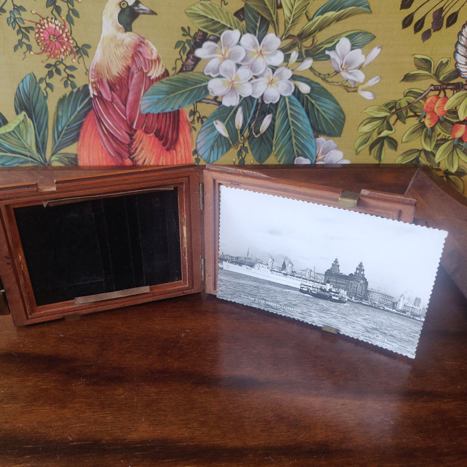 Antique late 19th century Victorian mahogany half plate photo slide holder
