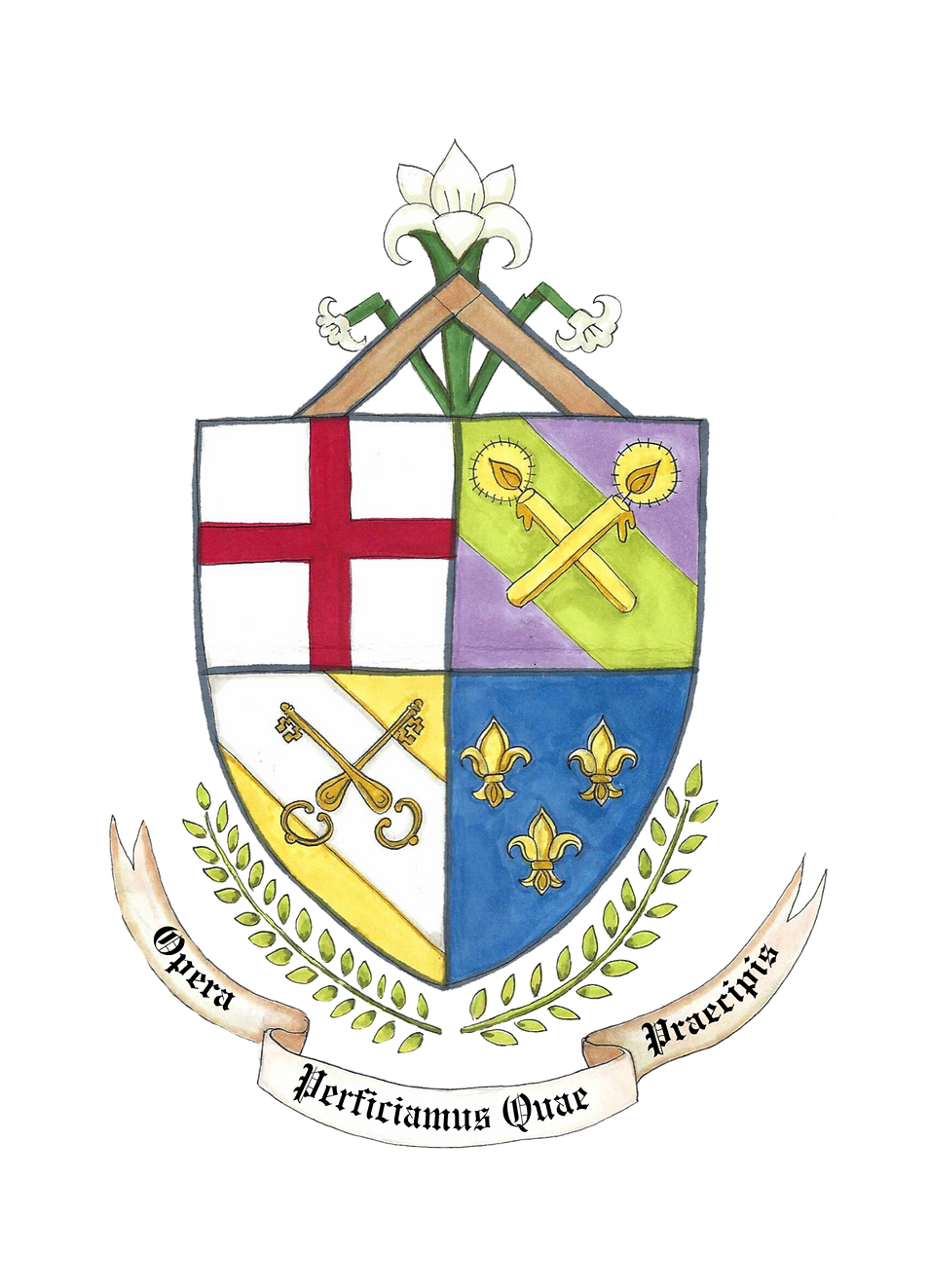 SJWA Small (No Name)_edited_edited_edited_edited_edited_edited.png