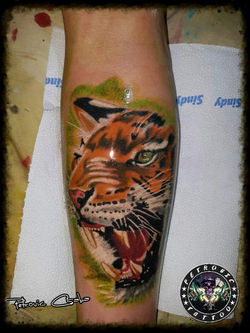 realistic (8)