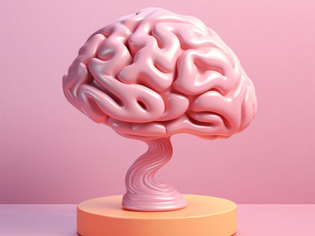 Treino, Reabilitação e Estimulação Cognitiva: entendendo as diferenças e a importância de cada um 