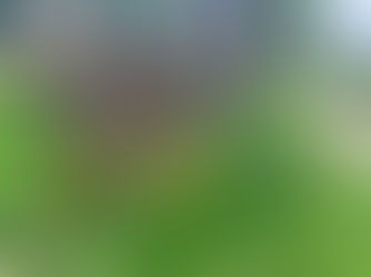 Among Stones and Silence: My Love of Wandering Graveyards and Churches