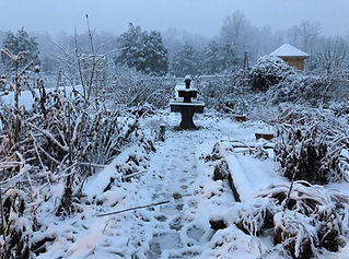 Winter in formal garden
