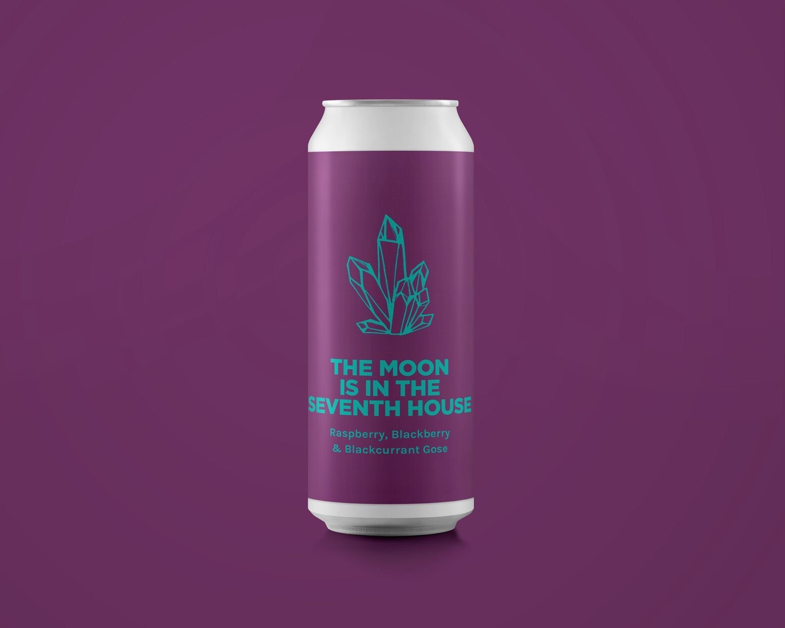 THE MOON IS IN THE SEVENTH HOUSE Raspberry, Blackberry & Blackcurrant Gose 5%