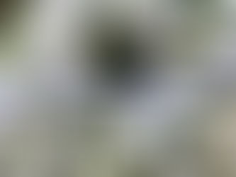 Martí, a 173 años: memoria viva y lucha presente en Costa Rica