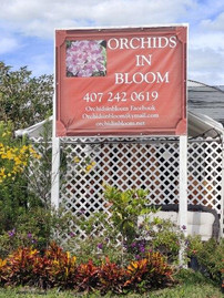 Orchids in Bloom sign 