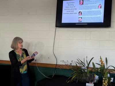 Betsy Schechter giving a presentation on all of the years past events and programs at the Tampa Orchid Club