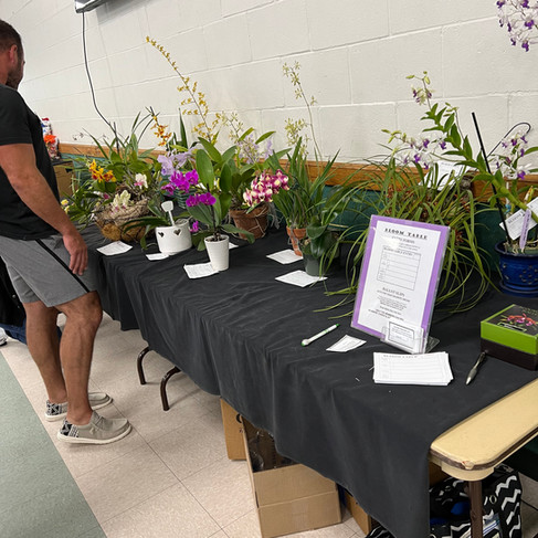 Tampa Orchid Club bloom table at the May installation luncheon