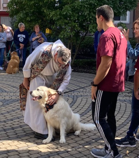Blessing of Pets  