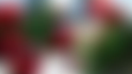 I wish you a Merry Christmas