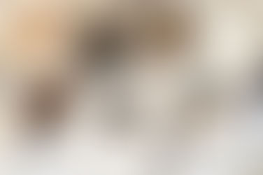 Manifesto da Família