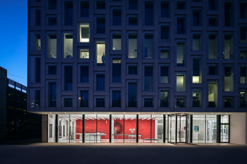 maierlighting-lichtplanung-lichtdesign-milla-roche-rdi-showroom-4.jpg