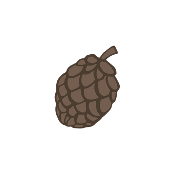Pine Cone 2