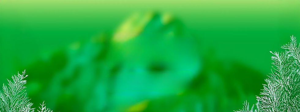 taiwan-demo-blank.jpg