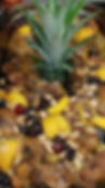 Plat à emporter
